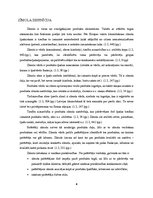 Referāts 'Zīmola "Rimi" priekšrocības un trūkumi', 6.