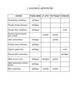 Referāts 'Projekts. Bērnu rotaļu un sporta laukums', 8.