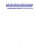 Referāts 'Procesuālās ekonomijas princips', 3.