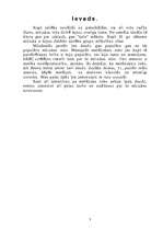 Referāts 'Metāliskais roks', 3.