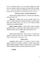 Referāts 'Dikļu pils', 6.