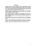 Referāts 'Ungārija. Budapešta', 8.