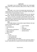 Referāts 'Jurista profesionālā etiķete', 3.