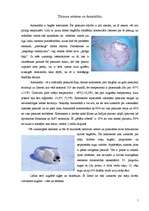 Referāts 'Tūrisma ietekme uz Antarktīdu', 1.