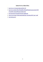 Konspekts 'Informācijas nozīme uzņēmējdarbībā', 13.