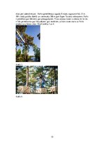 Prakses atskaite 'Profesionālās kvalifikācijas rekreācijas speciālists', 10.