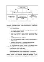 Referāts 'Civilās aizsardzības tiesiskais regulējums un praktiskais pielietojums pamatskol', 13.