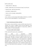 Eseja 'Konflikti, to būtība un risināšana', 2.