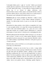 Eseja 'Konflikti, to būtība un risināšana', 3.