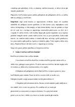 Eseja 'Konflikti, to būtība un risināšana', 4.