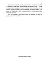 Prakses atskaite 'Ievadprakse tiesā', 11.