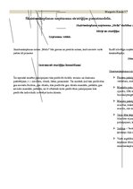 Paraugs 'Skaistumkopšanas uzņēmuma stratēģijas pamatmodelis', 1.