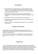 Paraugs 'Skaistumkopšanas uzņēmuma stratēģijas pamatmodelis', 3.