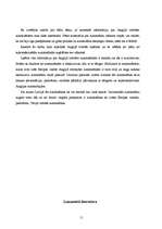 Referāts 'Anglijā ražotās automašīnas', 11.