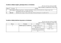 Prezentācija 'Skābēti kāposti ar burkāniem', 13.