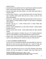 Referāts 'Privāto militāro kompāniju loma kara transformācijā starptautiskajās attiecībās', 13.