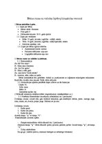 Konspekts 'Bērna runas un valodas izpēte pirmsskolas vecumā', 1.