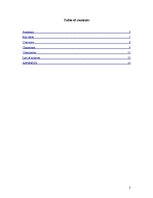 Referāts 'Characters and Main Discoveries Reading the "Little Prince" by De Saint-Exupéry', 2.