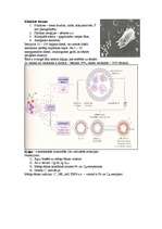 Konspekts 'Mikrobioloģija. Alerģijas', 7.