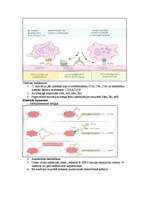 Konspekts 'Mikrobioloģija. Alerģijas', 8.