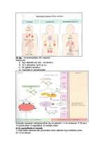 Konspekts 'Mikrobioloģija. Alerģijas', 9.