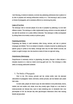 Referāts 'Political Propaganda', 8.