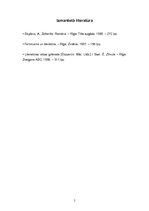 Referāts 'A.Deglava romāns "Zeltenīte"', 5.