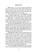 Konspekts 'Sengrieķu koru lirika', 1.