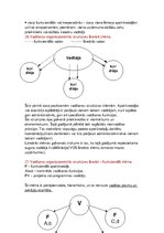 Konspekts 'Vadības teorijas eksāmena jautājumi', 12.