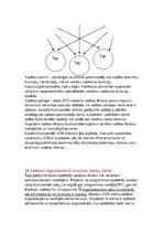 Konspekts 'Vadības teorijas eksāmena jautājumi', 13.