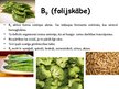 Prezentācija 'Vitamīni', 5.