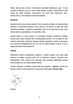 Konspekts 'Hitīns', 13.