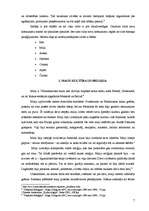 Referāts 'Amerikas seno civilizāciju reliģijas', 7.