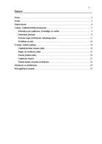 Biznesa plāns 'Uzņēmuma "X" biznesa plāns', 2.