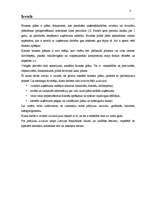 Biznesa plāns 'Uzņēmuma "X" biznesa plāns', 3.