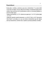 Biznesa plāns 'Uzņēmuma "X" biznesa plāns', 4.