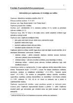 Biznesa plāns 'Uzņēmuma "X" biznesa plāns', 5.