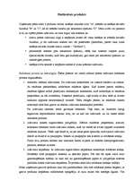 Biznesa plāns 'Uzņēmuma "X" biznesa plāns', 9.