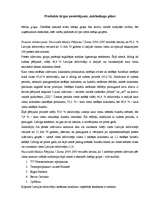 Biznesa plāns 'Uzņēmuma "X" biznesa plāns', 11.