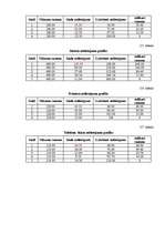 Biznesa plāns 'Uzņēmuma "X" biznesa plāns', 17.