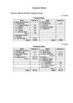 Biznesa plāns 'Uzņēmuma "X" biznesa plāns', 21.