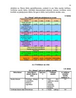 Biznesa plāns 'SIA "Olimpic" biznesa plāns 2011.gadam', 24.