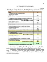 Biznesa plāns 'SIA "Olimpic" biznesa plāns 2011.gadam', 29.