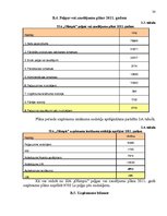 Biznesa plāns 'SIA "Olimpic" biznesa plāns 2011.gadam', 30.