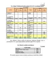 Biznesa plāns 'SIA "Olimpic" biznesa plāns 2011.gadam', 31.