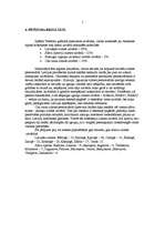 Referāts 'Personvārdi kultūras apritē', 5.