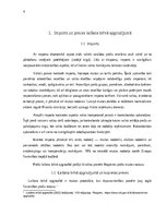 Referāts 'Imports Latvijas Republikā un tā ierobežošana ar protekcionismu', 4.