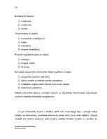 Referāts 'Imports Latvijas Republikā un tā ierobežošana ar protekcionismu', 18.