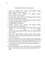 Referāts 'Imports Latvijas Republikā un tā ierobežošana ar protekcionismu', 24.