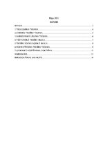 Referāts 'Tiesību rāšanas teorijas', 2.